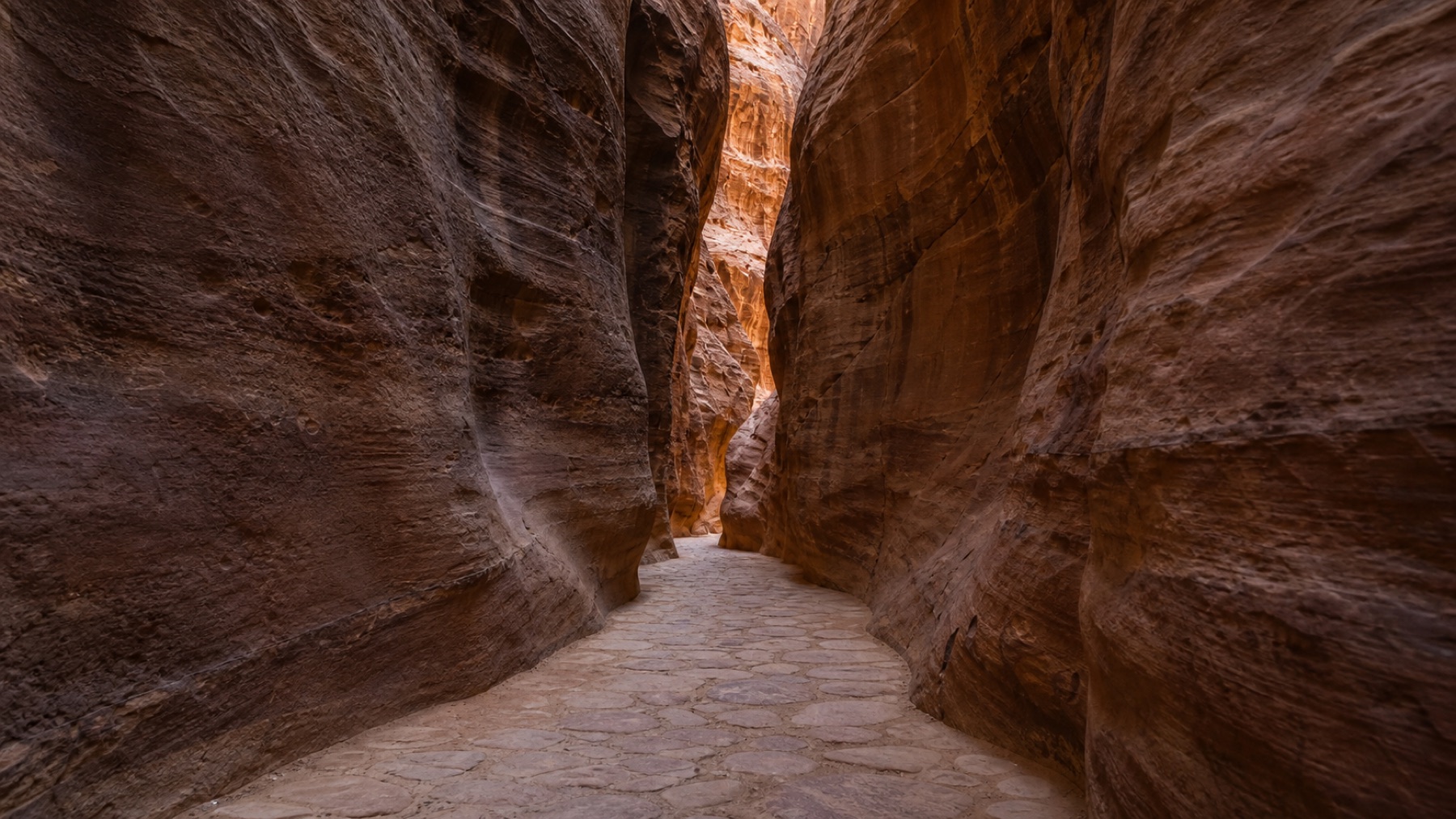 Warm Petra canyon walls along the Siq
